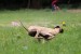 FB_IMG_1747653503782
