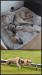 FB_IMG_1749237098759