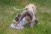 FB_IMG_1747653513305