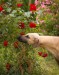 FB_IMG_1748351507266