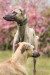 FB_IMG_1747848722319