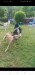Screenshot_20250520_215757_com.facebook.katana