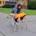 FB_IMG_1747929085808