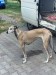 Messenger_creation_4068009A-5E40-40ED-BD98-A04BFF8582B7