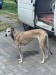 Messenger_creation_B9BEF9F4-39A4-4145-A75D-D063E44B8B4F