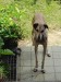 Messenger_creation_CD155EA7-7D62-4308-A6C7-9F3EFBFABBB0