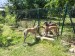 Messenger_creation_A2E265DA-73E2-4F6D-AA56-2A2B8044D0BB