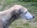 Messenger_creation_0EB991B2-0BF2-4993-A47F-30530944505B