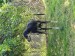 Messenger_creation_1D653478-33CB-41E3-917B-695B2E40162A