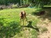 Messenger_creation_C1B13E1D-2788-430C-96D9-6DC65EA56711