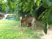 Messenger_creation_5211C1D3-0985-47B7-977D-84E4AA8E6D38