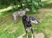 Messenger_creation_C23E9A68-1382-479D-B005-845FDD6D96EA