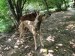 Messenger_creation_3126304F-50A0-4A69-B9BC-EBA76BFD1049