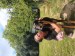 IMG_20250629_135613011