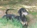 Messenger_creation_F7E58BAF-2B46-4205-A1EA-BD6D3F7D564D