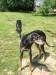Messenger_creation_8C6F778B-D5B4-4FE2-A622-5A3CB7964FB5