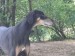 Messenger_creation_DE132C2B-4873-4E23-8E9B-D21321061D3F