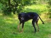 Messenger_creation_7EF813B5-51C2-4541-B255-65753D4B12DF