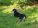 Messenger_creation_09AD1DAD-FC01-4253-A7E6-DC591201763C