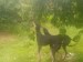 Messenger_creation_38893D10-5646-4EB3-BE4B-3F042113BD9C