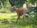 Messenger_creation_7CF571D4-C9A5-4C22-8623-11460F3BCE62