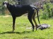 Messenger_creation_CB527078-2EB9-47C4-BCA5-D89C03B5F7AA