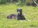 Messenger_creation_BA6D3A3E-C6A8-422F-A8F8-FBB641055487