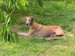 Messenger_creation_ED0241F2-1EFC-4CC5-B338-50971DCF2B83