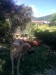 received_4097390763826381