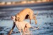 FB_IMG_1750261519427