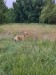 FB_IMG_1750016587157