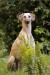 FB_IMG_1748351503809