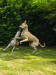 FB_IMG_1749905027692