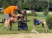 FB_IMG_1750530399104
