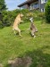 FB_IMG_1749905019525