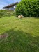 FB_IMG_1749905017114