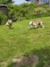 FB_IMG_1749905012885