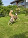 FB_IMG_1749905008574
