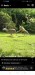 Screenshot_20250628_151213_com.facebook.katana