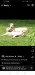 Screenshot_20250628_151240_1_com.facebook.katana
