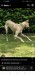 Screenshot_20250628_151240_com.facebook.katana
