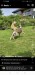 Screenshot_20250628_151237_com.facebook.katana