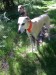 FB_IMG_1749905151606