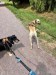 FB_IMG_1749904994474
