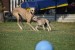 FB_IMG_1752069679870