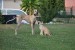 FB_IMG_1752069686112