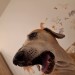 FB_IMG_1751282835969