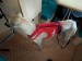 FB_IMG_1751859183883