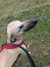 FB_IMG_1751859186176