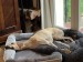FB_IMG_1751474070226